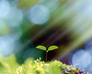 リピーターが返ってくるのはすごい！のアイキャッチ画像