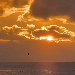 謹賀新年！お久しぶりです♪のアイキャッチ画像