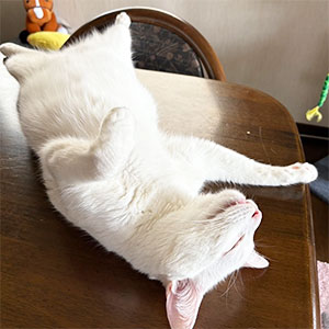 健やかに&hellip;のアイキャッチ画像