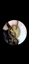 VENUSの面接人画像