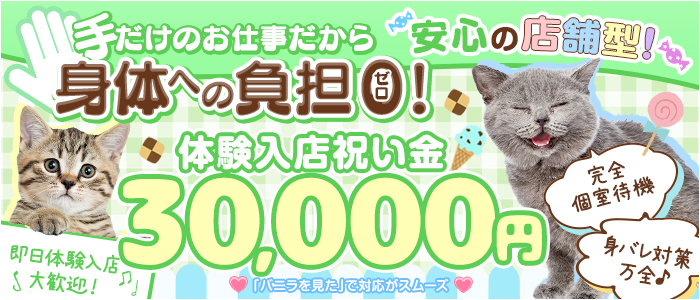 ビデオdeはんど熊本校の求人画像