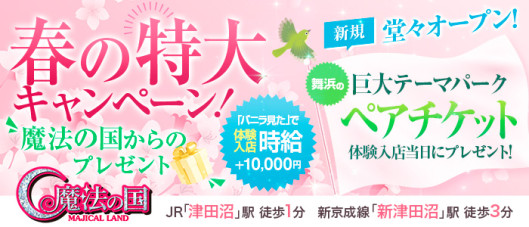 魔法の国