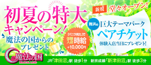 魔法の国