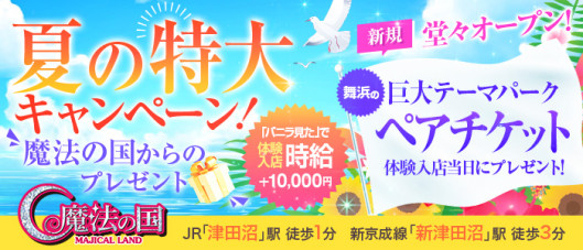 魔法の国