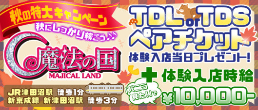 魔法の国