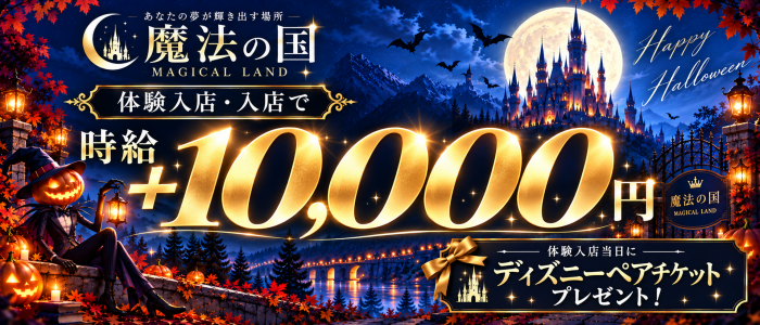 魔法の国の求人画像