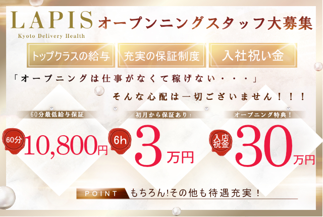 Lapisの求人画像