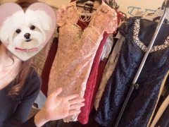 撮影衣装、下着は勿論無料