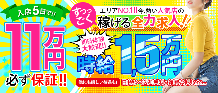 ラストバカンス2の体験入店求人画像