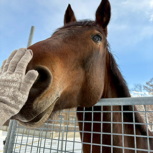一番重要視したいところの合致が大事です！のアイキャッチ画像