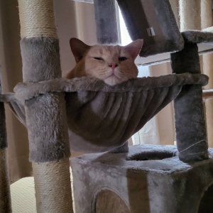 【早番勤務できるセラピストさん】を特に募集しています！のアイキャッチ画像