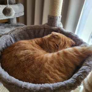 特に早番勤務出来るセラピスト急募しています！のアイキャッチ画像