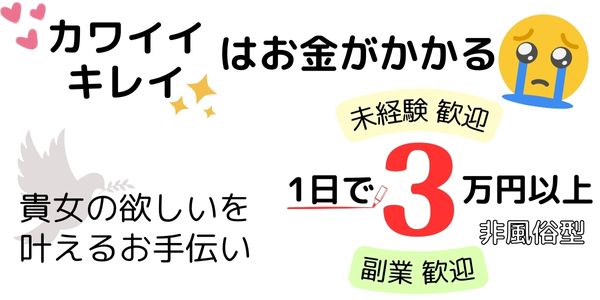 Lemonade (レモネード)姫路の未経験求人画像