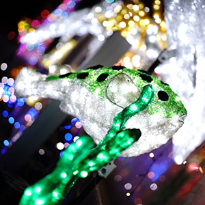 向いていないかもと思った時に聞いてほしい話のアイキャッチ画像