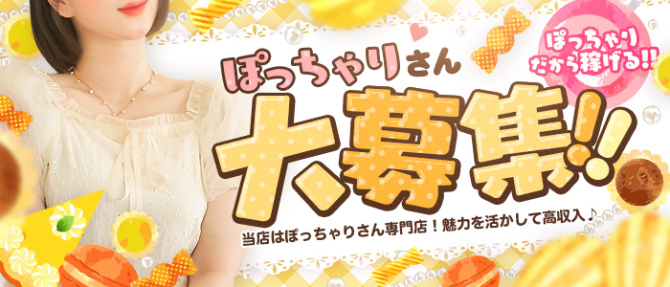 韮崎・南アルプスちゃんこのぽっちゃり求人画像