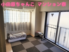 神奈川小田原ちゃんこ(ちゃんこｸﾞﾙｰﾌﾟ)の寮・宿泊施設画像1