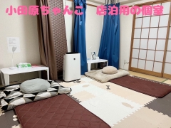 神奈川小田原ちゃんこ(ちゃんこｸﾞﾙｰﾌﾟ)の寮・宿泊施設画像3