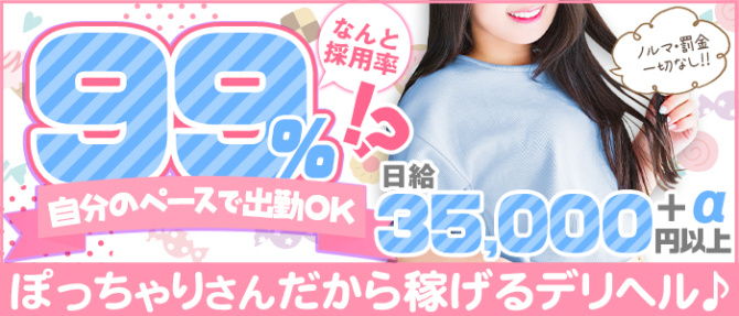 奈良橿原大和高田ちゃんこのぽっちゃり求人画像