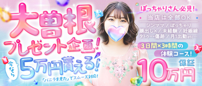 ラブボート大曽根のぽっちゃり求人画像