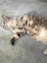 LOVEの面接官