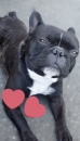 LOVEの面接人画像