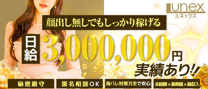 LUNEX ルネックスの求人画像