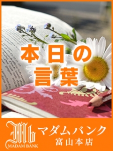 本日の言葉！！のアイキャッチ画像