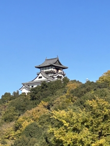 松山城見に行ってきました♪N川です！のアイキャッチ画像