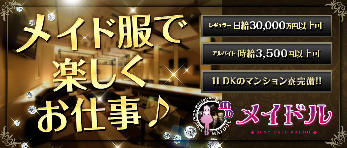 メイドルの求人画像