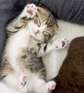 この業界で働くうえで一番大事なことは？のアイキャッチ画像