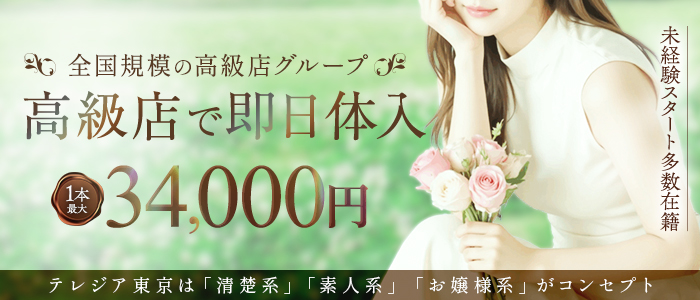 テレジア東京-初めて出会う純粋な輝きの体験入店求人画像