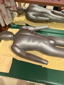 #実技研修なし #まりも君のアイキャッチ画像