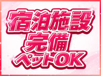 マリリン宮殿で働くメリット2
