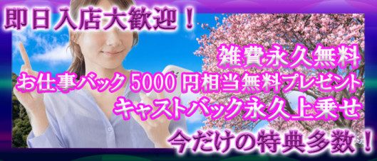 松戸デリヘル 熟女ヘブン