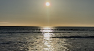 赤字サーフ（ ;  ; ）のアイキャッチ画像