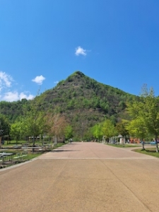 嫌いじゃないけど、度が過ぎてるのはね。。。のアイキャッチ画像
