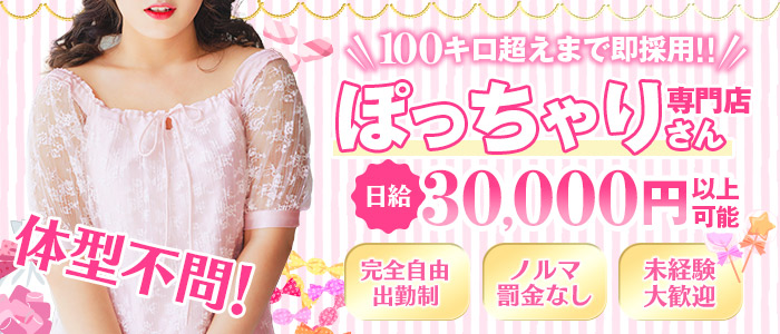 愛媛松山ちゃんこのぽっちゃり求人画像