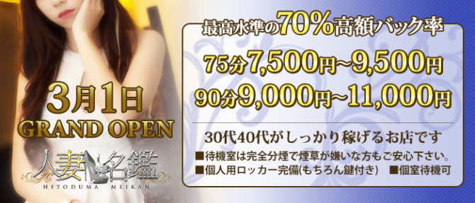 人妻名鑑のぽっちゃり求人画像