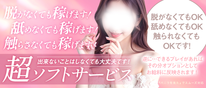 Melty Esthe 性感回春エステの求人画像