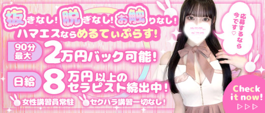 めるてぃぷらす