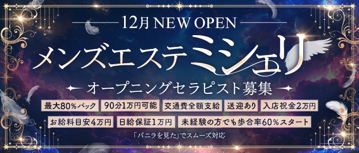 ミシェリの体験入店求人画像