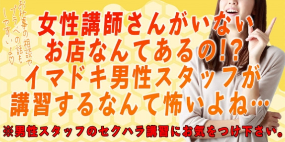 Miel de Beeのぽっちゃり求人画像