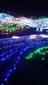 今年もがんばるぞぅ♪♪のアイキャッチ画像