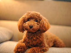 ミラクル愛。。の寮・宿泊施設画像3