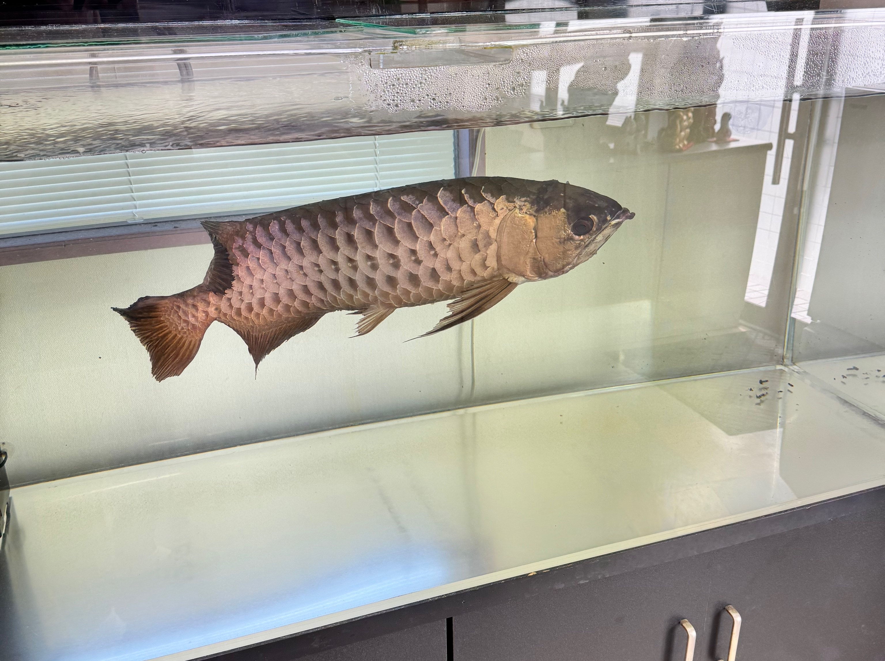 ミラクル愛。。の店長・スタッフ画像1