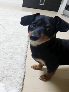 私に魅力がないのかな」のアイキャッチ画像