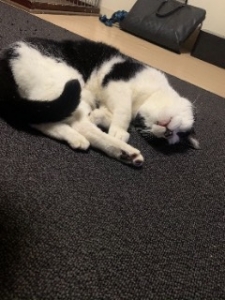 そう感じたことはありませんか？のアイキャッチ画像