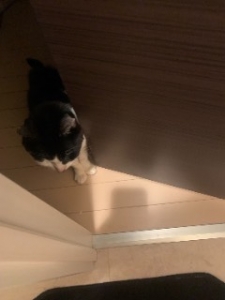 どうしても一番最初に目に入るのが「お給料の高さ」だと思います。のアイキャッチ画像