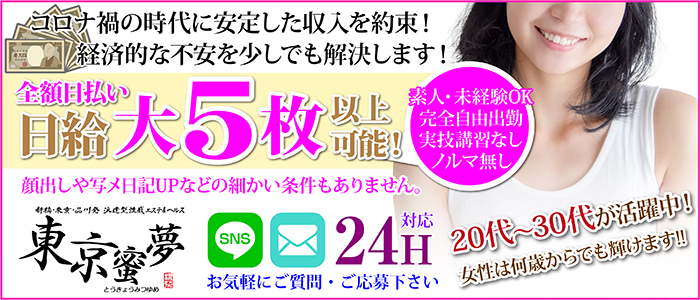 東京蜜夢の求人画像