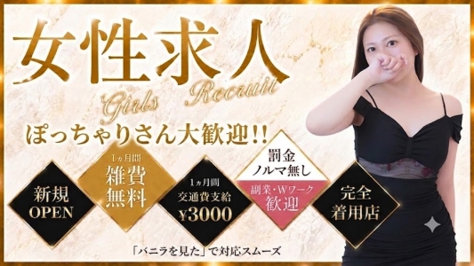 雅のぽっちゃり求人画像